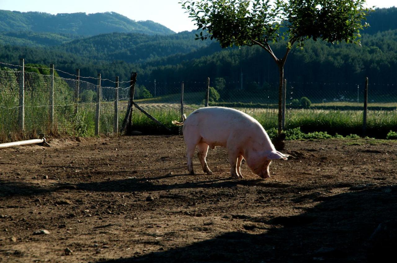 Agriturismo Fiorella Camigliatello Silano Kültér fotó