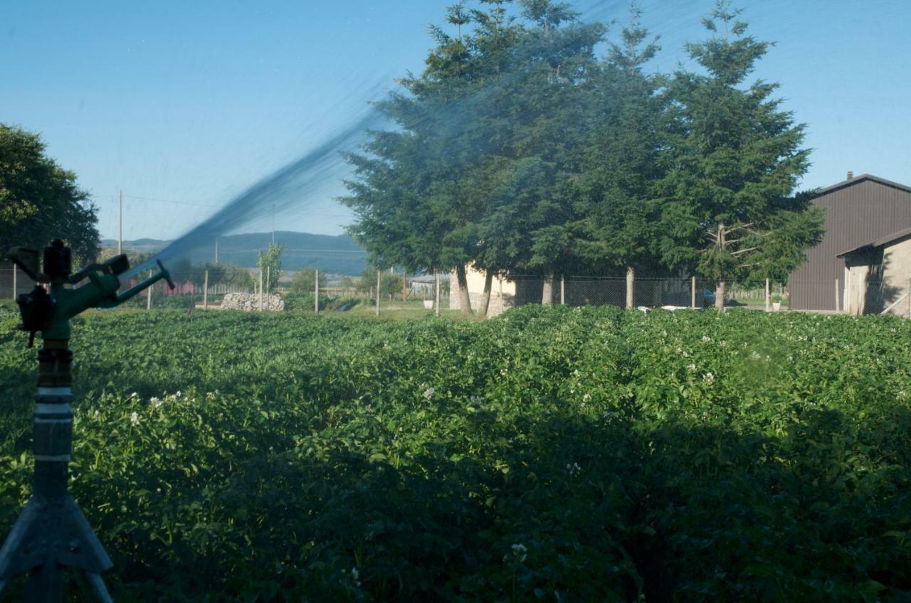 Agriturismo Fiorella Camigliatello Silano Kültér fotó