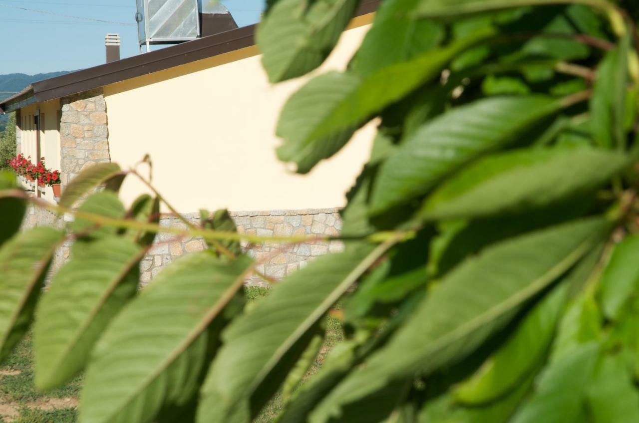 Agriturismo Fiorella Camigliatello Silano Kültér fotó