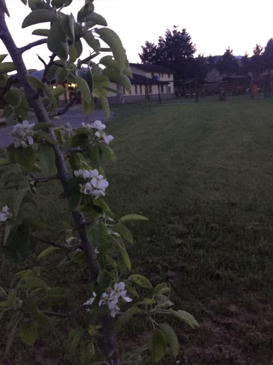 Agriturismo Fiorella Camigliatello Silano Kültér fotó
