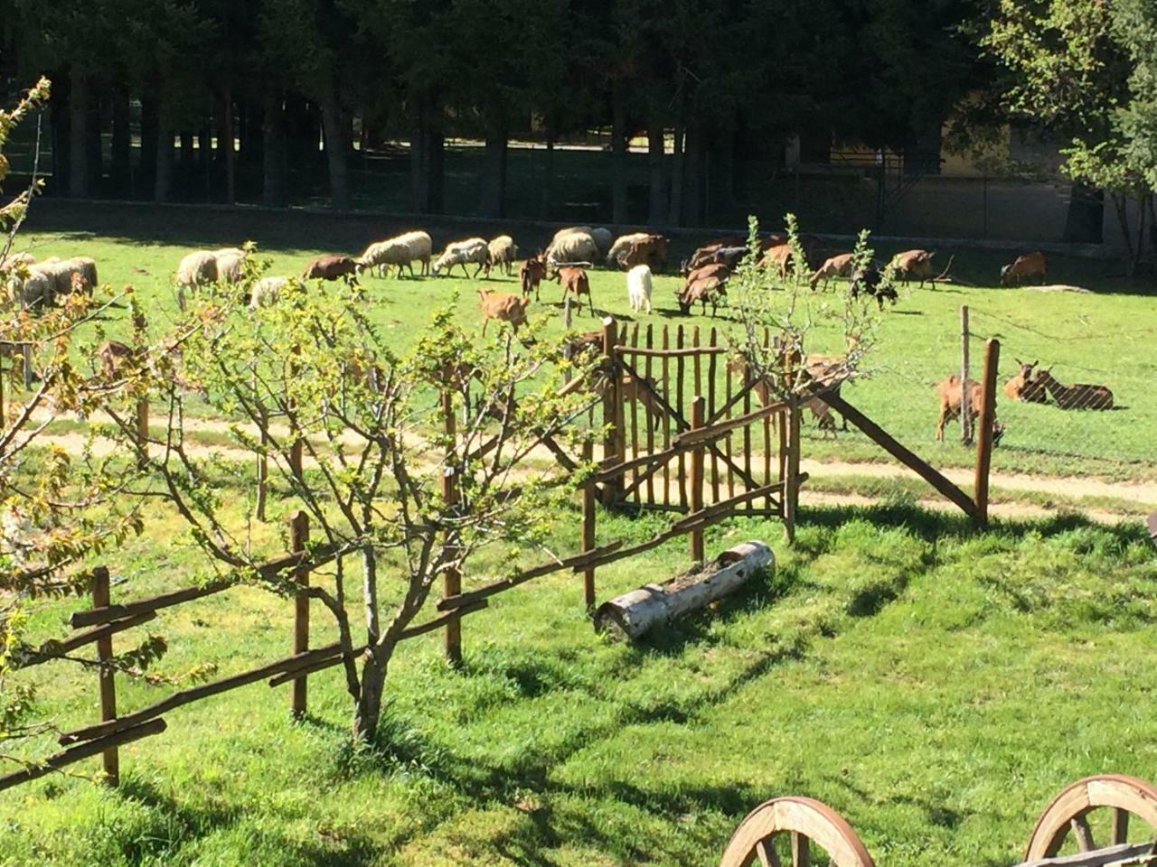 Agriturismo Fiorella Camigliatello Silano Kültér fotó